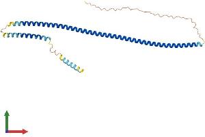 AlphaFold protein structure predicition of Human Recombinant ZWINT Protein, UniprotID O95229