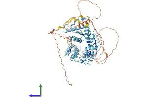 AlphaFold protein structure predicition of Human Recombinant ZNF613 Protein, UniprotID Q6PF04