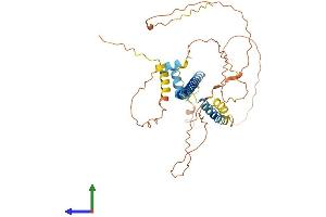 AlphaFold protein structure predicition of Mouse Recombinant Creb3 Protein, UniprotID Q61817