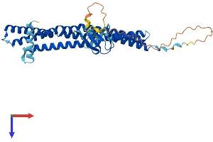 AlphaFold protein structure predicition of Human Recombinant SH3GL1 Protein, UniprotID Q99961