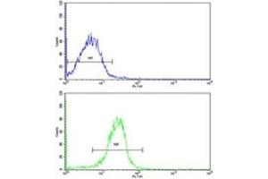 Flow cytometric (intracellular) analysis of WiDr cells using AADAC antibody (bottom histogram) compared to a negative control (top histogram).