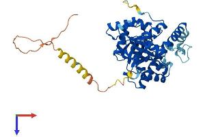 AlphaFold protein structure predicition of Mouse Recombinant Kcnab1 Protein, UniprotID P63143