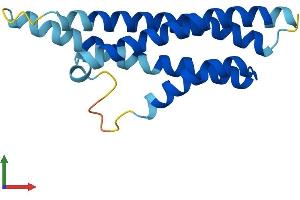 AlphaFold protein structure predicition of Human Recombinant CNIH2 Protein, UniprotID Q6PI25
