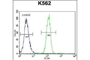 anti-Coiled-Coil Domain Containing 61 (CCDC61) (AA 36-65), (N-Term) antibody