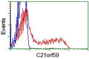 HEK293T cells transfected with either RC200169 overexpress plasmid (Red) or empty vector control plasmid (Blue) were immunostained by anti-C21orf59 antibody (ABIN2452867), and then analyzed by flow cytometry. (C21orf59 anticorps)