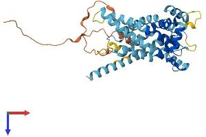 AlphaFold protein structure predicition of Mouse Recombinant Slc25a28 Protein, UniprotID Q8R0Z5