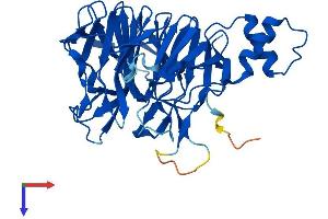AlphaFold protein structure predicition of Human Recombinant KLHDC3 Protein, UniprotID Q9BQ90
