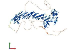 AlphaFold protein structure predicition of Mouse Recombinant Cul4b Protein, UniprotID A2A432