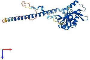 AlphaFold protein structure predicition of Human Recombinant TSEN34 Protein, UniprotID Q9BSV6