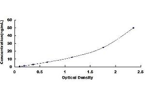 Typical standard curve