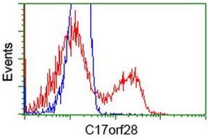 HEK293T cells transfected with either RC206740 overexpress plasmid (Red) or empty vector control plasmid (Blue) were immunostained by anti-C17orf28 antibody (ABIN2452860), and then analyzed by flow cytometry. (HID1/DMC1 anticorps)