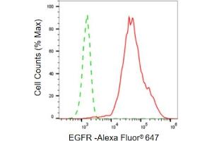 Flow cytometric analysis of EGFR expression in HepG2 cells using EGFR antibody (ABIN7798462), 1:2,000). (Recombinant EGFR anticorps)