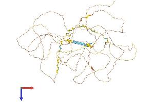 AlphaFold protein structure predicition of Human Recombinant FSCB Protein, UniprotID Q5H9T9