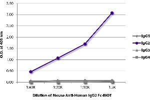 ELISA plate was coated with purified human IgG1, IgG2, IgG3, and IgG4. (Souris anti-Humain IgG2 (Fc Region) Anticorps (Biotin))