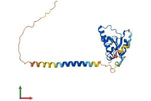 AlphaFold protein structure predicition of Mouse Recombinant Pgrmc2 Protein, UniprotID Q80UU9