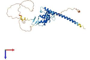 AlphaFold protein structure predicition of Human Recombinant RASSF6 Protein, UniprotID Q6ZTQ3