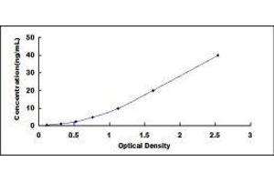 Typical standard curve (Calreticulin Kit ELISA)