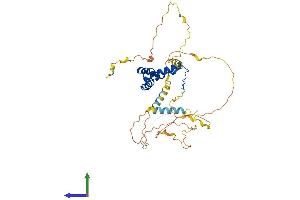 AlphaFold protein structure predicition of Human Recombinant SOX18 Protein, UniprotID P35713