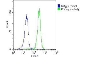 Overlay histogram showing Raji cells stained with (ABIN6244076 and ABIN6577160)(green line).