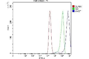 Flow Cytometry analysis of CACO-2 cells using anti-Angiomotin/AMOT antibody (ABIN7599826). (Angiomotin anticorps  (AA 12-622))
