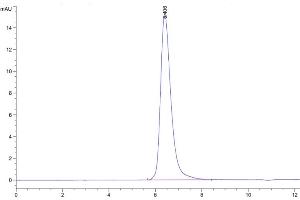 The purity of Human ITGB6 is greater than 95 % as determined by SEC-HPLC. (ITGB6 Protein (AA 22-707) (His tag))