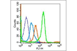 Mouse Spleen cells probed with CD8a Polyclonal Antibody, unconjugated  at 1:100 dilution for 30 minutes compared to control cells (blue) and isotype control (orange)