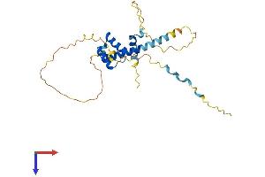AlphaFold protein structure predicition of Human Recombinant PRRX2 Protein, UniprotID Q99811