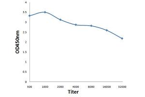 Antigen: 0. (DEDD anticorps  (AA 151-250))