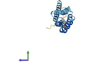 AlphaFold protein structure predicition of Mouse Recombinant Tspan31 Protein, UniprotID Q9CQ88