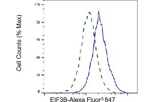 Validation of EIF3B knockdown using flow cytometry.