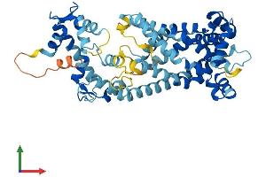AlphaFold protein structure predicition of Human Recombinant SLC25A24 Protein, UniprotID Q6NUK1