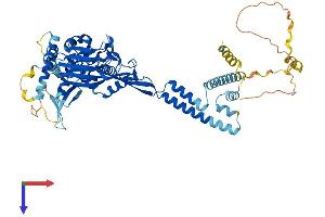 AlphaFold protein structure predicition of Mouse Recombinant Scnn1b Protein, UniprotID Q9WU38