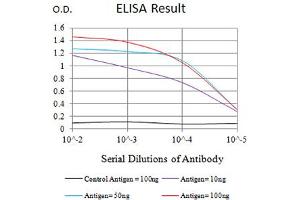 Black line: Control Antigen (100 ng),Purple line: Antigen (10 ng), Blue line: Antigen (50 ng), Red line:Antigen (100 ng)