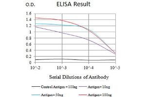 Black line: Control Antigen (100 ng),Purple line: Antigen (10 ng), Blue line: Antigen (50 ng), Red line:Antigen (100 ng) (LILRB2 anticorps  (AA 51-184))