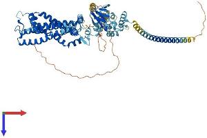 AlphaFold protein structure predicition of Mouse Recombinant Cnga2 Protein, UniprotID Q62398