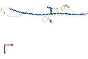 AlphaFold protein structure predicition of Human Recombinant CEP57 Protein, UniprotID Q86XR8