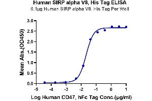 Immobilized Human SIRP alpha V8, His Tag at 1 μg/mL (100 μL/Well) on the plate. (SIRP AlphaV8 (AA 31-369) protein (His-Avi Tag))