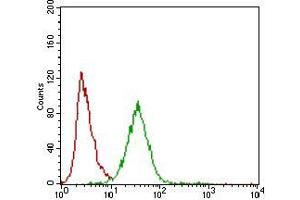 Flow cytometric analysis of Hela cells using ZEB1 mouse mAb (green) and negative control (red). (ZEB1 anticorps  (AA 967-1108))