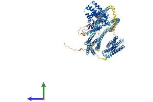 AlphaFold protein structure predicition of Mouse Recombinant Hip1 Protein, UniprotID Q8VD75
