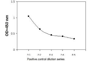 T47D cells were exposed to 50J/m2 of UV light followed by a 4 hours recovery period. (ATR Kit ELISA)