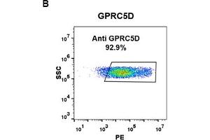 Flow Cytometry (FACS) image for anti-G Protein-Coupled Receptor, Family C, Group 5, Member D (GPRC5D) (AA 2-21) antibody (ABIN7092892) (GPRC5D anticorps  (AA 2-21))