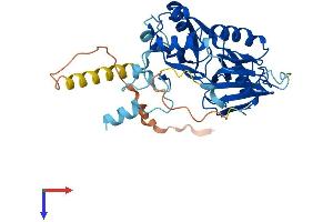 AlphaFold protein structure predicition of Mouse Recombinant Snupn Protein, UniprotID Q80W37