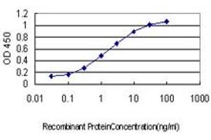 Detection limit for recombinant GST tagged EMD is approximately 0. (Emerin anticorps  (AA 1-110))