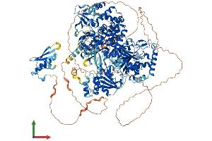 AlphaFold protein structure predicition of Mouse Recombinant Dhx9 Protein, UniprotID O70133