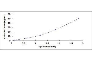Dihydropyrimidinase-Like 2 (DPYSL2) ELISA Kit