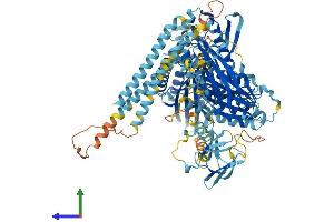 AlphaFold protein structure predicition of Human Recombinant KIF28P Protein, UniprotID B7ZC32