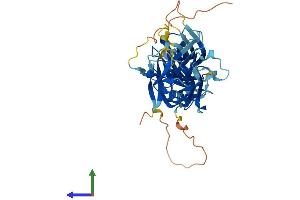 AlphaFold protein structure predicition of Mouse Recombinant Arrb1 Protein, UniprotID Q8BWG8
