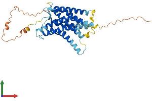 AlphaFold protein structure predicition of Human Recombinant ACKR1 Protein, UniprotID Q16570