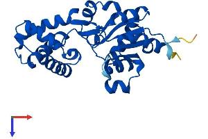 AlphaFold protein structure predicition of Mouse Recombinant Hdhd3 Protein, UniprotID Q9CYW4