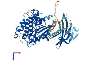 AlphaFold protein structure predicition of Mouse Recombinant Camk2a Protein, UniprotID P11798
